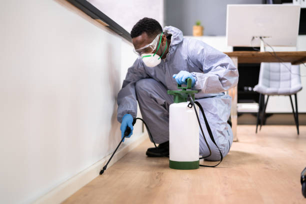 Best Pest Prevention Services  in Cleveland, TX